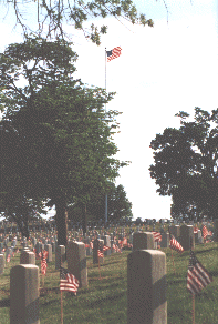 Field of flags